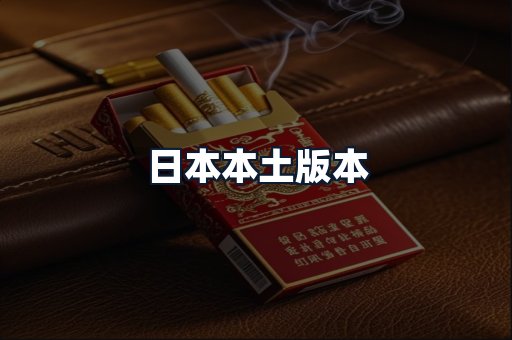 日本本土版本